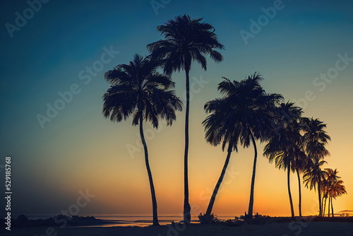 palm trees on the beach at sunset, peaceful calm nature background