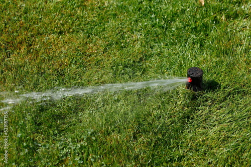 Wassersprenger auf einer Rasenfläche , Deutschland photo