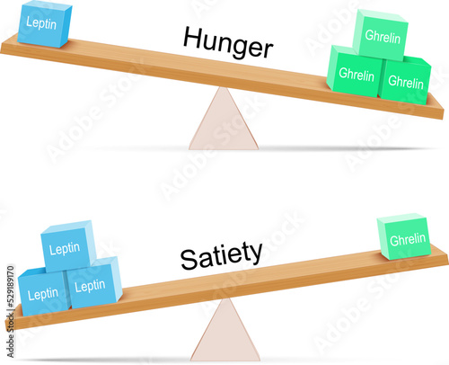 Ghrelin and leptin. Appetite and hunger.