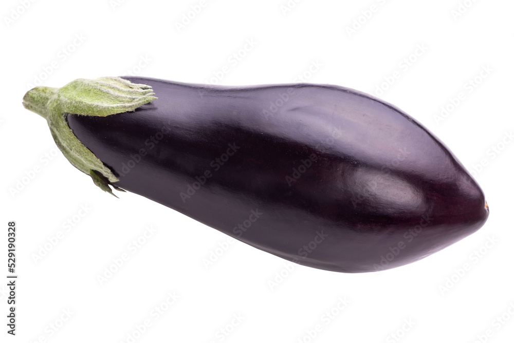 Big ripe eggplant, isolate