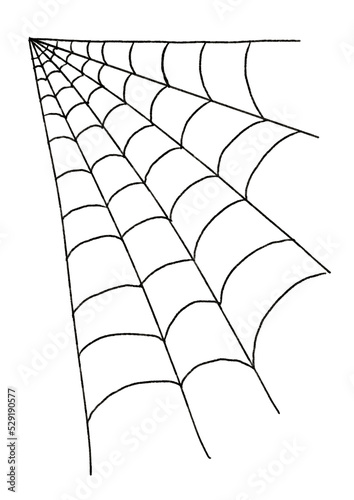 spider web on white