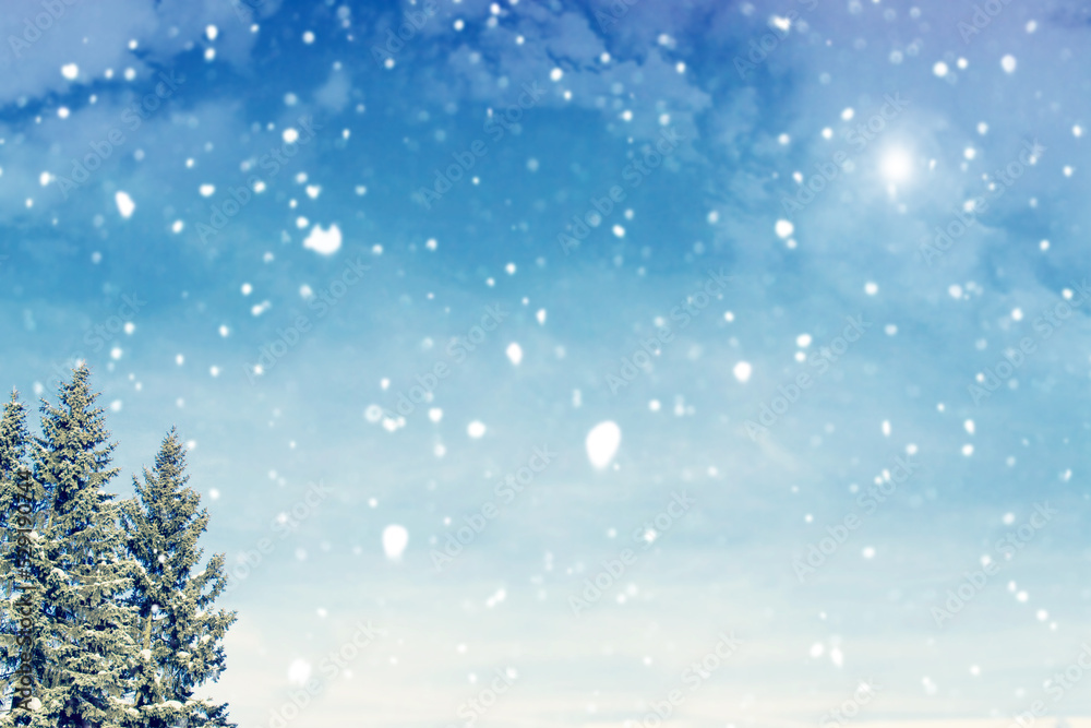 Frozen winter forest with snow covered trees. Frozen winter forest with snow covered trees.