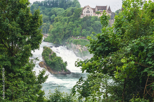 Rhine falls view from above hill  look through vegetation  Schaffhausen  Switzerland