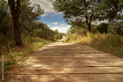 Path leading to the beach at Klaipėda in Lithuania 