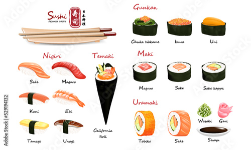 Set of sushi japanese traditional food menu with different kind on white background vector illustration japanese text mean sushi japanese cuisine