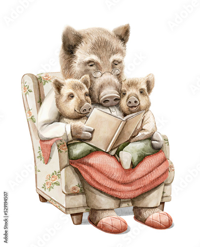 Bild auf Leinwand Watercolor Christmas vintage family of grandpa boar and little piglets in clothes reading book fairy tale to children isolated on white background
