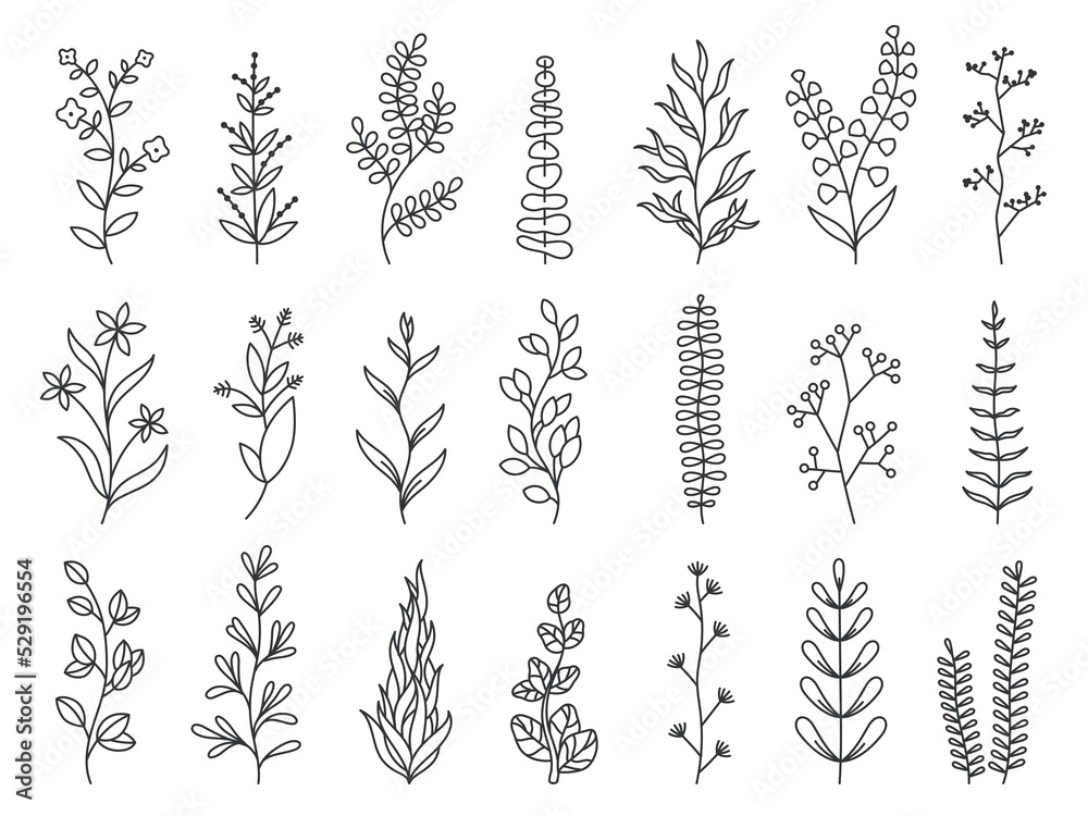 Doodle plants. Linear decorative forest branches with leaves and flowers, floral cartoon sketches for greeting cards and invitation. Vector isolated set