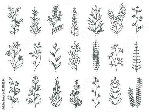Doodle plants. Linear decorative forest branches with leaves and flowers, floral cartoon sketches for greeting cards and invitation. Vector isolated set