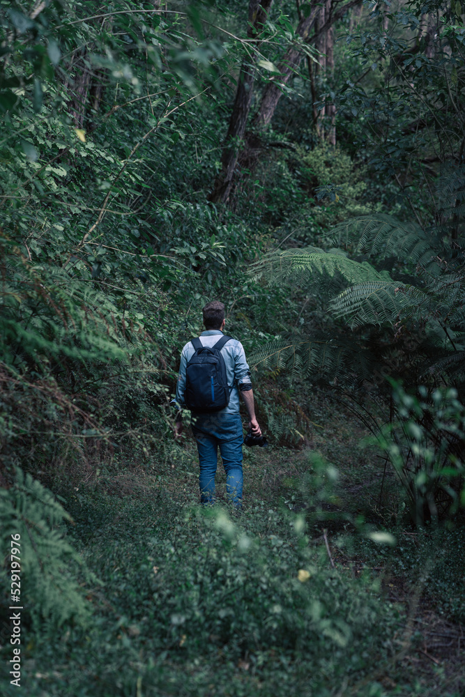 Man walking among the rainforest while holding his camera in the hand. Unrecognizable person