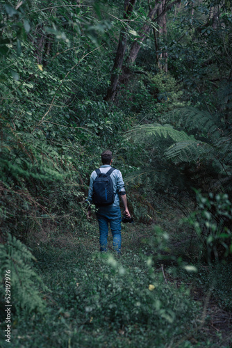 Man walking among the rainforest while holding his camera in the hand. Unrecognizable person