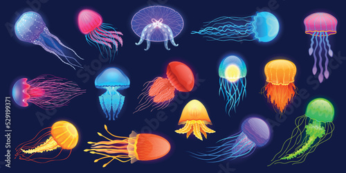 Glowing jellyfish. Cartoon underwater exotic sea animals of different colors and shapes floating in water. Vector cute transparent undersea creatures set