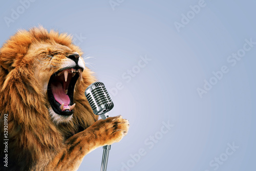 Beautiful lion holds a vintage microphone and sings karaoke. Party music, concert. Creative idea and King animal photo