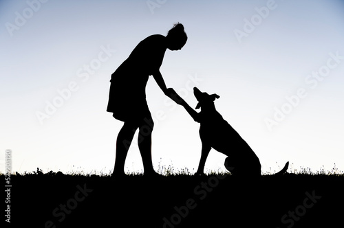 Woman and her friend dog on the Beautiful back lit sunset