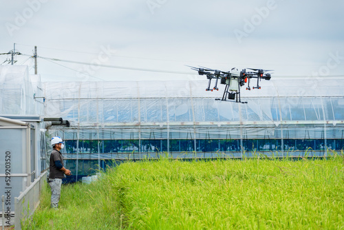 Quadro su tela ドローンの使って田んぼに農薬を散布している