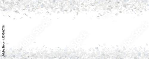 up and down border from white snowflakes high detailed, close-up, macro ,isolated png © everigenia