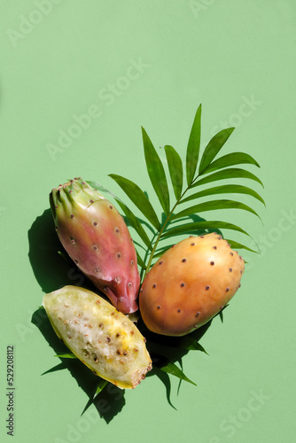 Close-up on cactus fruits on green backdrop. Arrangement with red, yellow and orange prickly pears on pam leaf. Direct sunlight with shadows. Exotic fruit background, flat lay, top view from above.