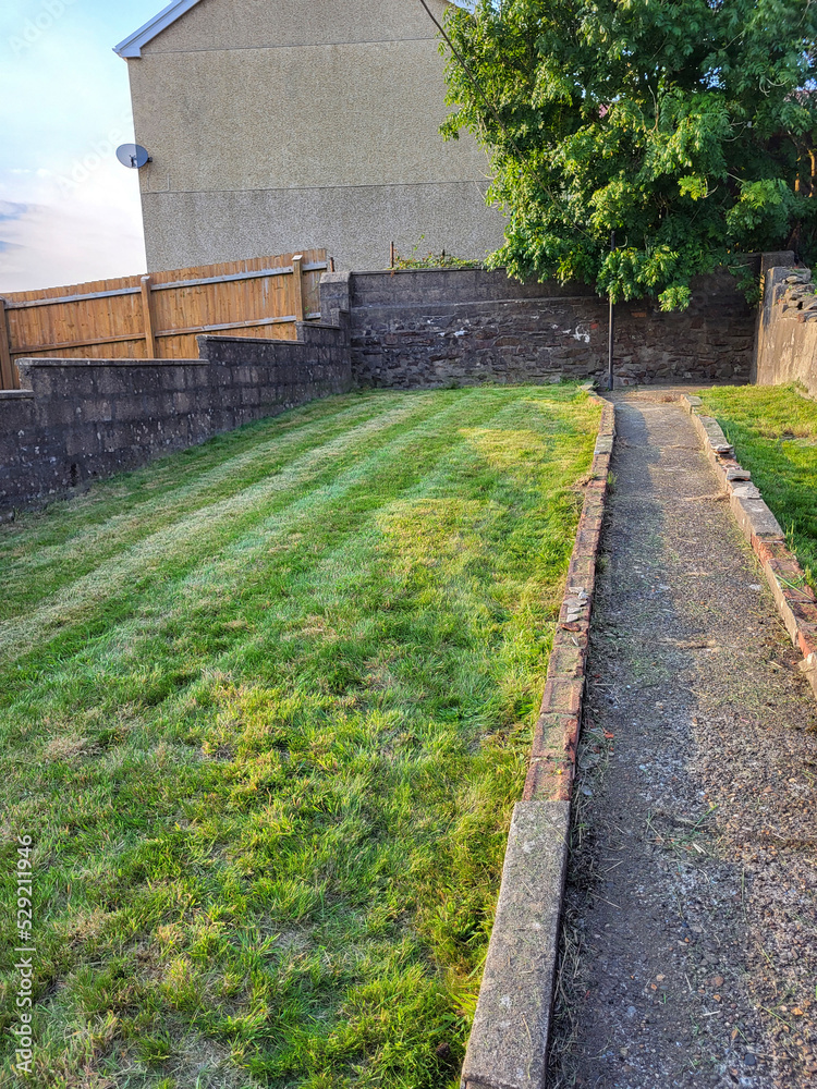 Enclosed rear garden with recently mowed lawn and garden path - old fashioned typical semi-detached back garden - UK