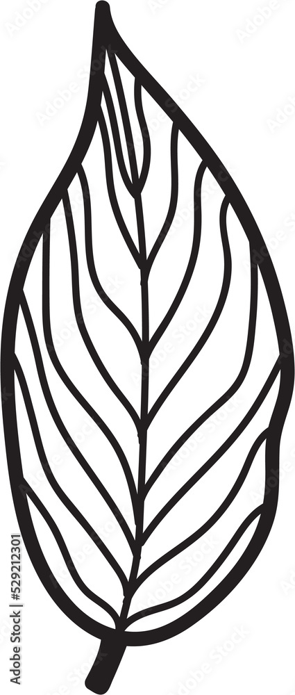 Fototapeta premium simplicity leaf freehand continuous line drawing flat design. 