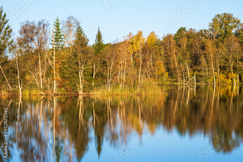 Forest lake with water reflections and autumn colors