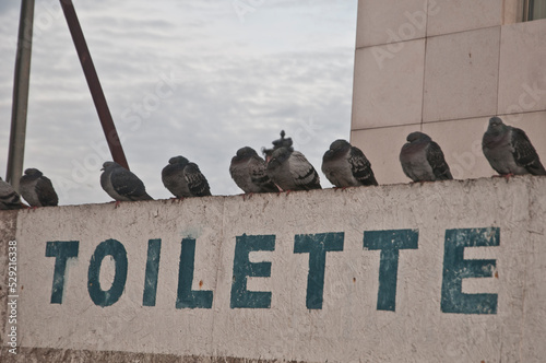 Toilette photo