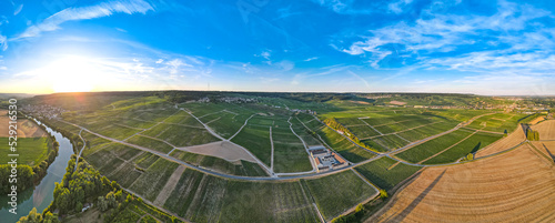 Aerial sunset view of Vineyards in the Champagne wine making region of France during the summer photo