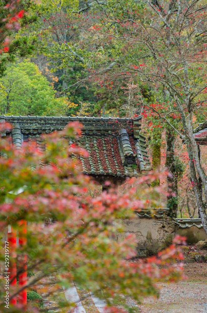 兵庫県三田市光明寺の紅葉