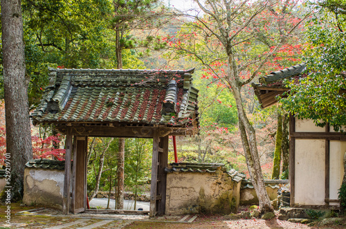 Obraz na płótnie 兵庫県三田市光明寺の紅葉 w salonie