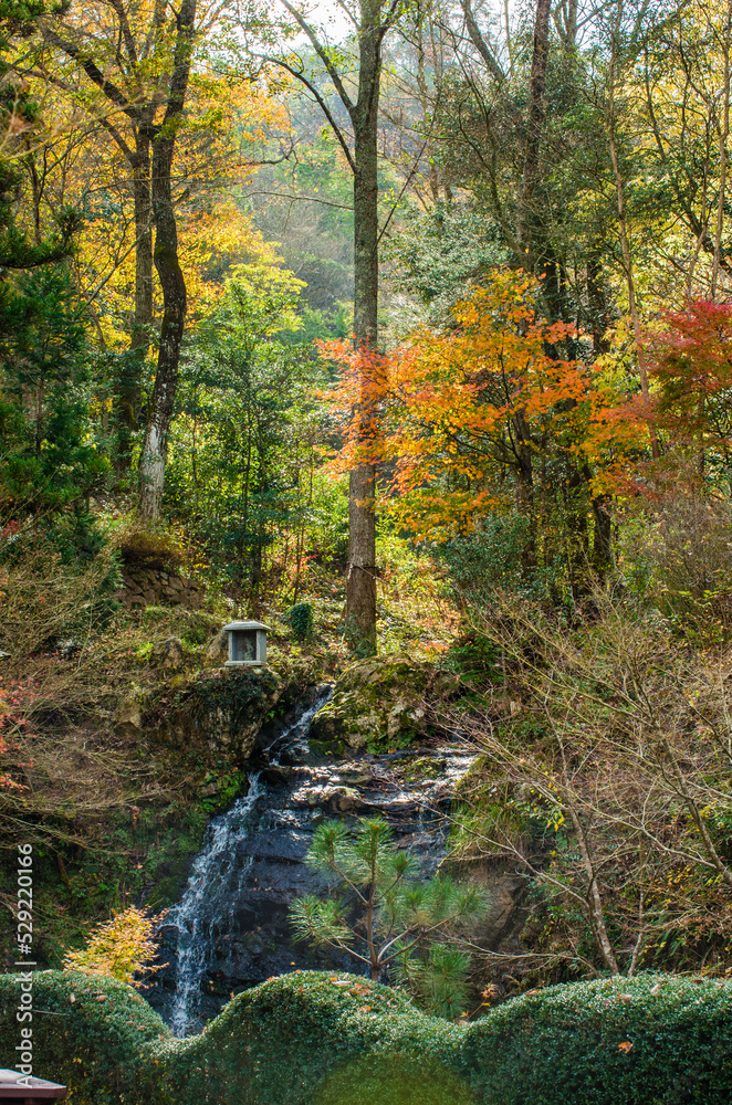 兵庫県三田市光明寺の紅葉