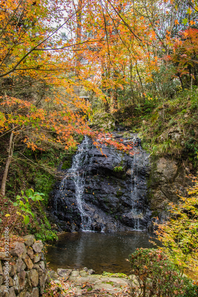 兵庫県三田市光明寺の紅葉