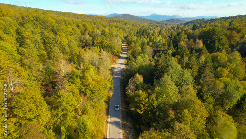 AERIAL: Country road winding through hilly forested landscape and a driving car