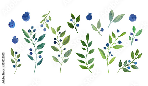 Set of watercolor hand drawn isolated elements on white background. Blue berries and green leaves.