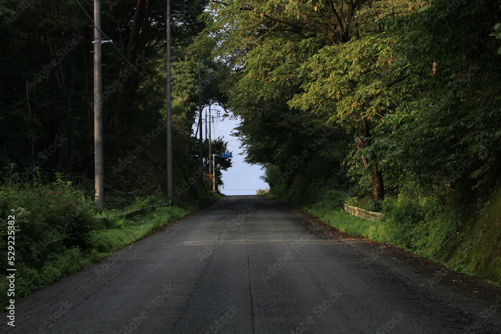 Obraz premium 緑のトンネル、その先に