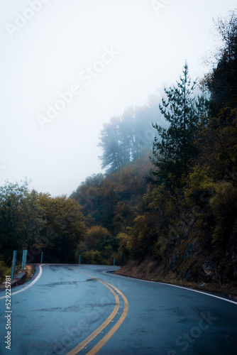 Panorámica vertical de la carretera en una montaña con bosque y árboles por encima con niebla en la ladera bajando a la calle en época de otoño e invierno photo