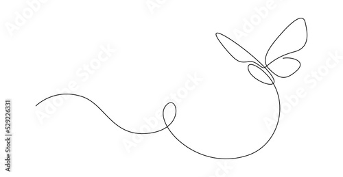 Photographie Butterfly in One continuous line drawing