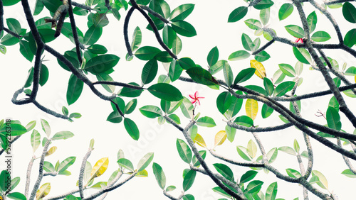 Branches and green leaves with pink flowers in the center. image for background