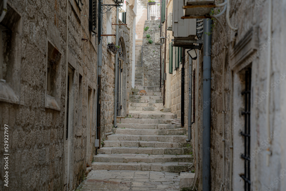 Journey. Streets of the old city. Kotor. Montenegro.