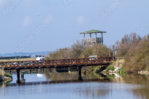 comacchio po delta regional park marshes with flamingos photo