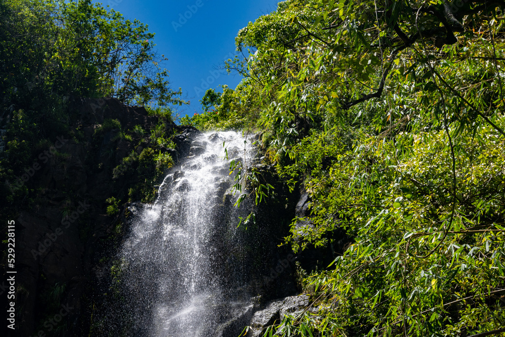 waterfall in the jungle
