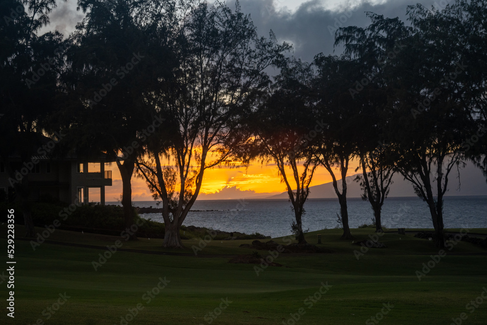 Naklejka premium sunset over the ocean