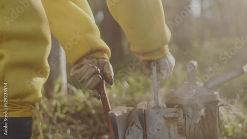 Apicultura profissional cuida de criação de abelhas no interior do Brasil photo