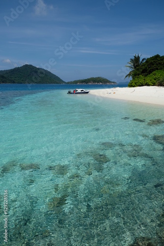 Fototapeta Naklejka Na Ścianę i Meble -  Indonesia Anambas Islands - Idyllic beach scenery with palm trees and boat vertical