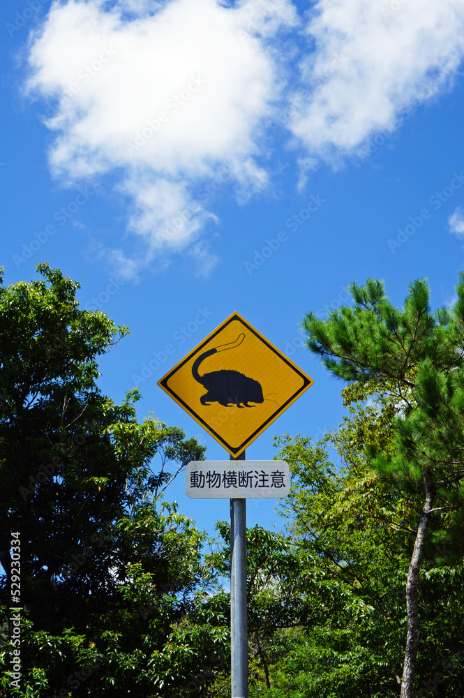 World Heritage Amami Oshima Ryukyu Rat Road Sign, Uken Village, Oshima District, Kagoshima Prefecture, Japan