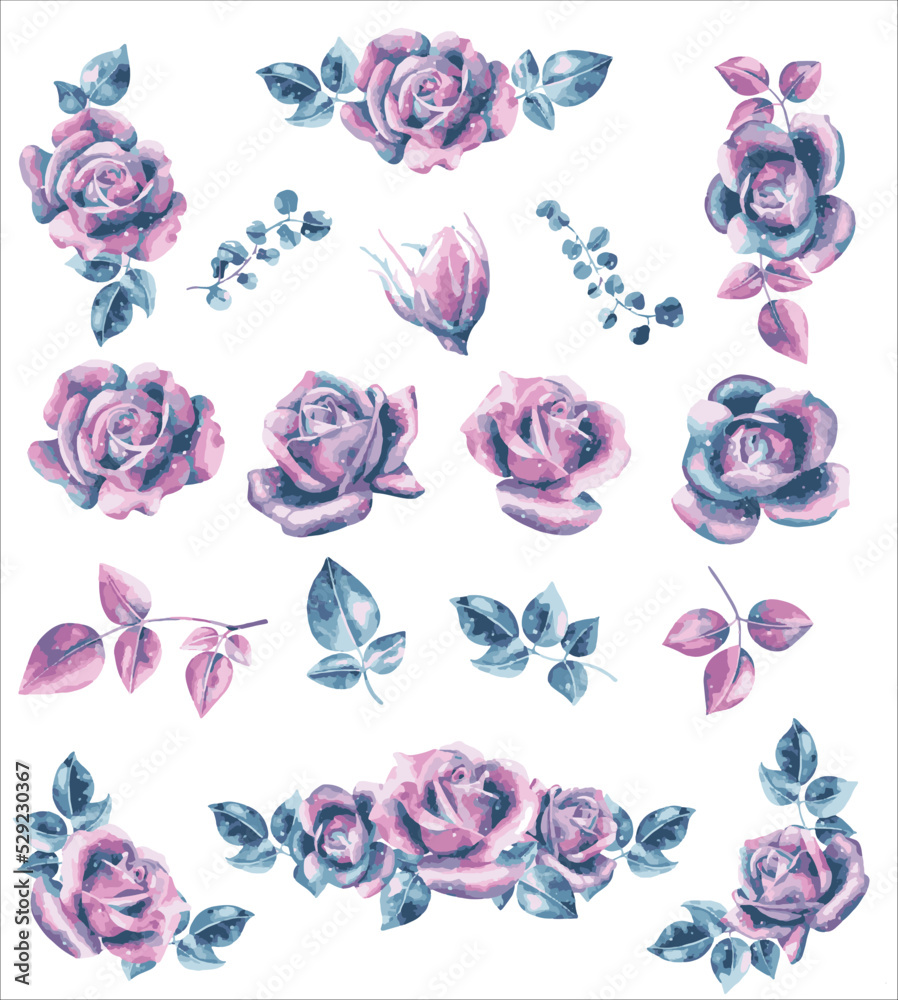 Watercolour vector magical indigo rose, clip art set, eucalyptus.Beautiful pink roses. collection with bouqets and individual rose elements. Galaxy rose set. Isolated and editable