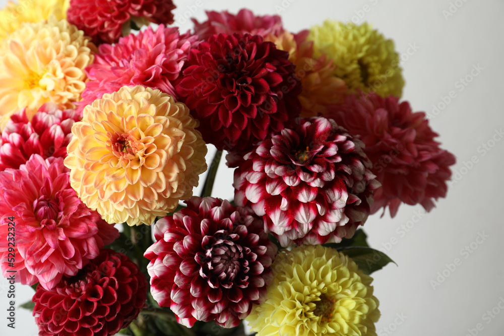 Bouquet of beautiful dahlia flowers on light background, closeup Bouquet of beautiful dahlia flowers on light background, closeup