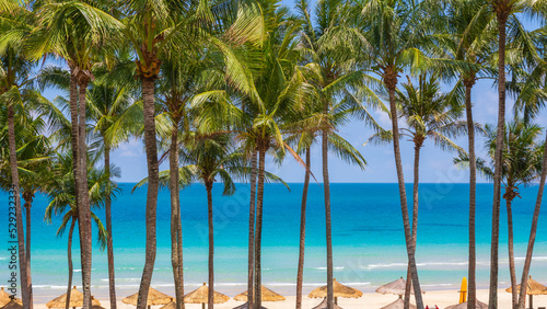 Tropical beach with palm trees at Bintan Island, Indonesia