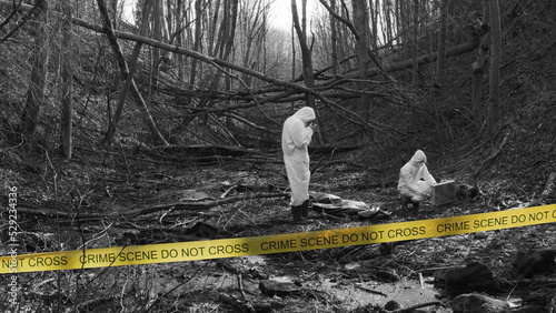Detectives are collecting evidence in a crime scene. Forensic specialists are making expertise. Police investigation in a forest. Black and white image with yellow police line.