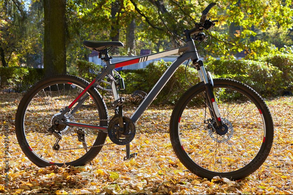 Mountain bike in excellent condition in autumn park. Black bicyc