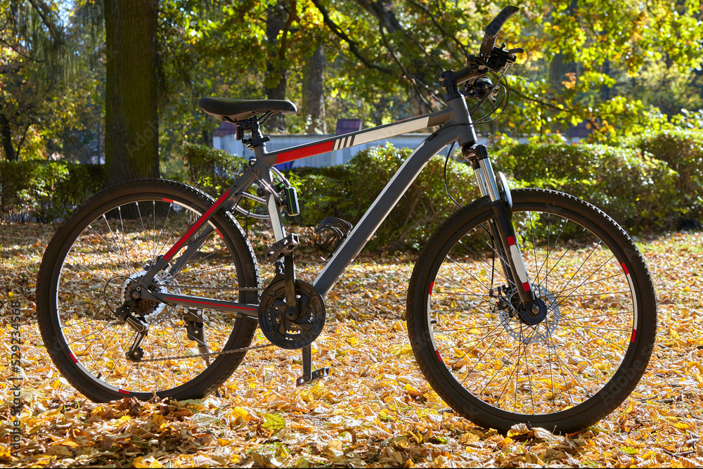 Mountain bike in excellent condition in autumn park. Black bicyc Mountain bike in excellent condition in autumn park. Black bicyc