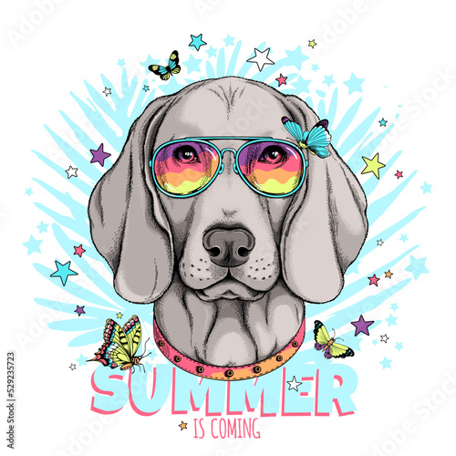 Cute weimaraner with butterflies.Summer is coming  illustration. Stylish image for printing on any surface
