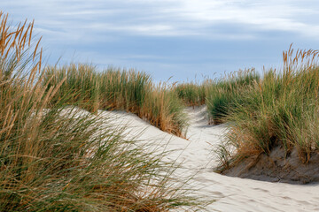Foto auf Acrylglas Nordsee nordseestrand dünengraslandschaft  © Olga